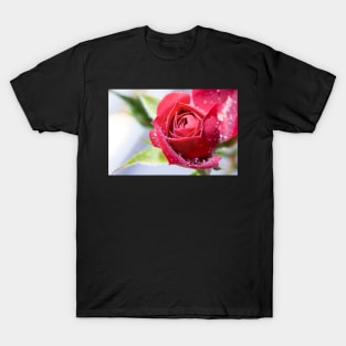 Red Rose Greeting Card T-Shirt